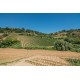 Properties for Sale_PRESTIGIOUS RENOVATED FARMHOUSE FOR SALE IN MASSIGNANO restored farmhouse in the Marche in Italy in Le Marche_35